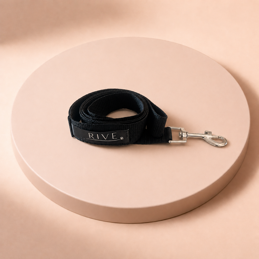 Harnais n°29